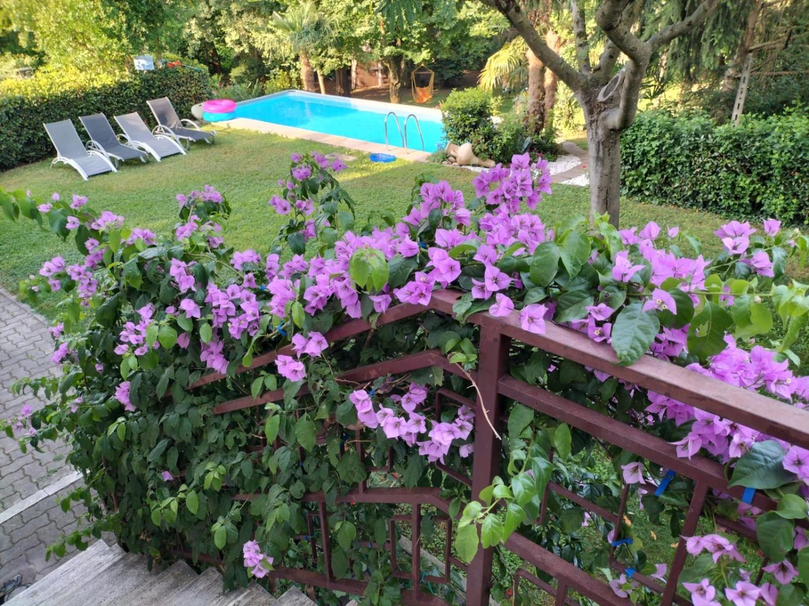 Casa Belvedere Монцамбано Екстериор снимка