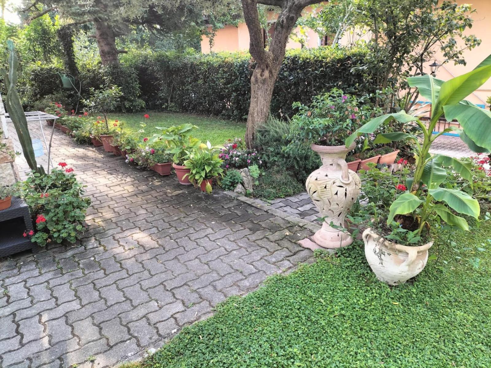 Casa Belvedere Монцамбано Екстериор снимка